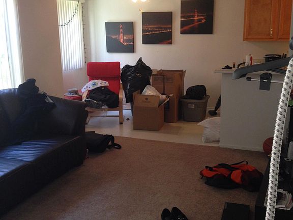 Living room / Dining room