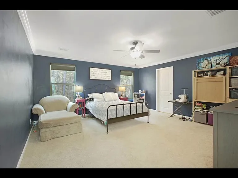 243 Weeping Cypress Dr — Photo 10
