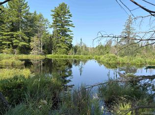 Pond 80 W Off North Pointe Rd, Deerton, MI 49822