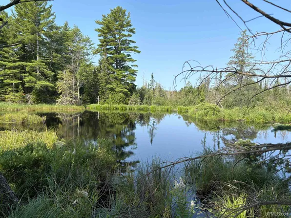 Pond 80 W Off North Pointe Rd, Deerton, MI 49822