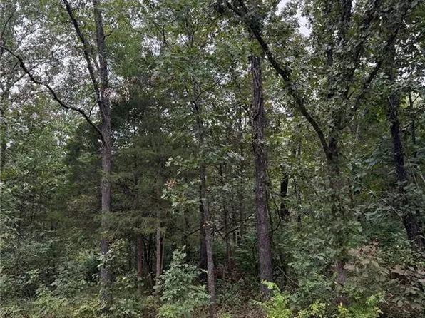 2128 Lone Wolf Dr, Cuba, MO 65453