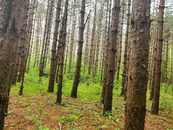 Sandy Ln #1, Shawano, WI 54166