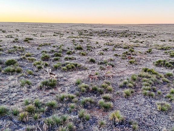 3rd image of N 440th Rd