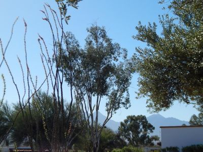 386 S La Canada Dr, Green Valley, AZ, 85614