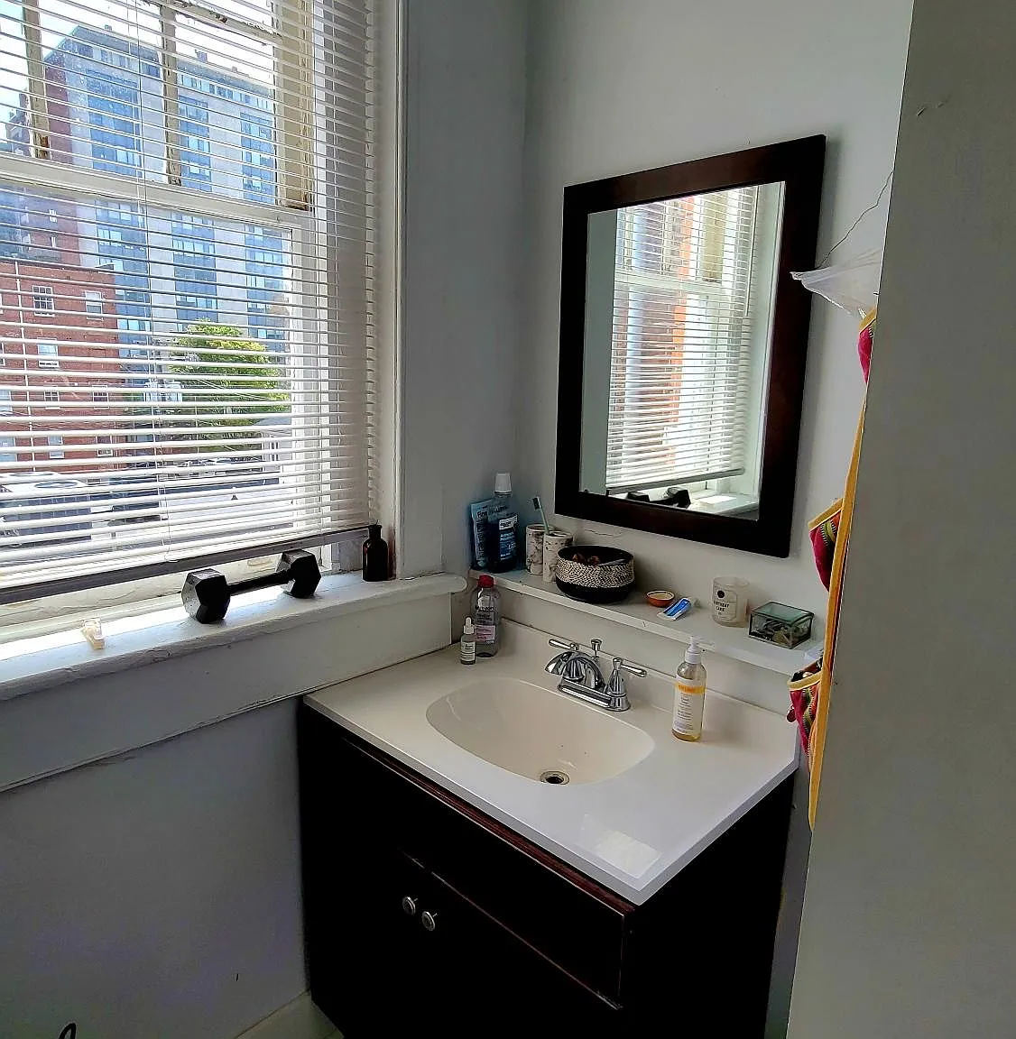 1 bed, 800 sqft, $995 — Photo 3