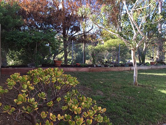 Backyard w Canyon view