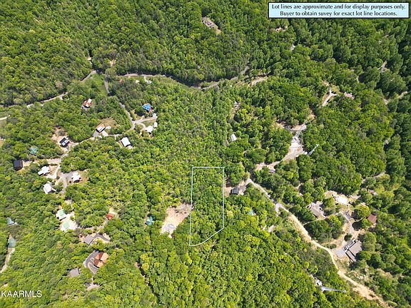5th image of Grassy Branch Loop