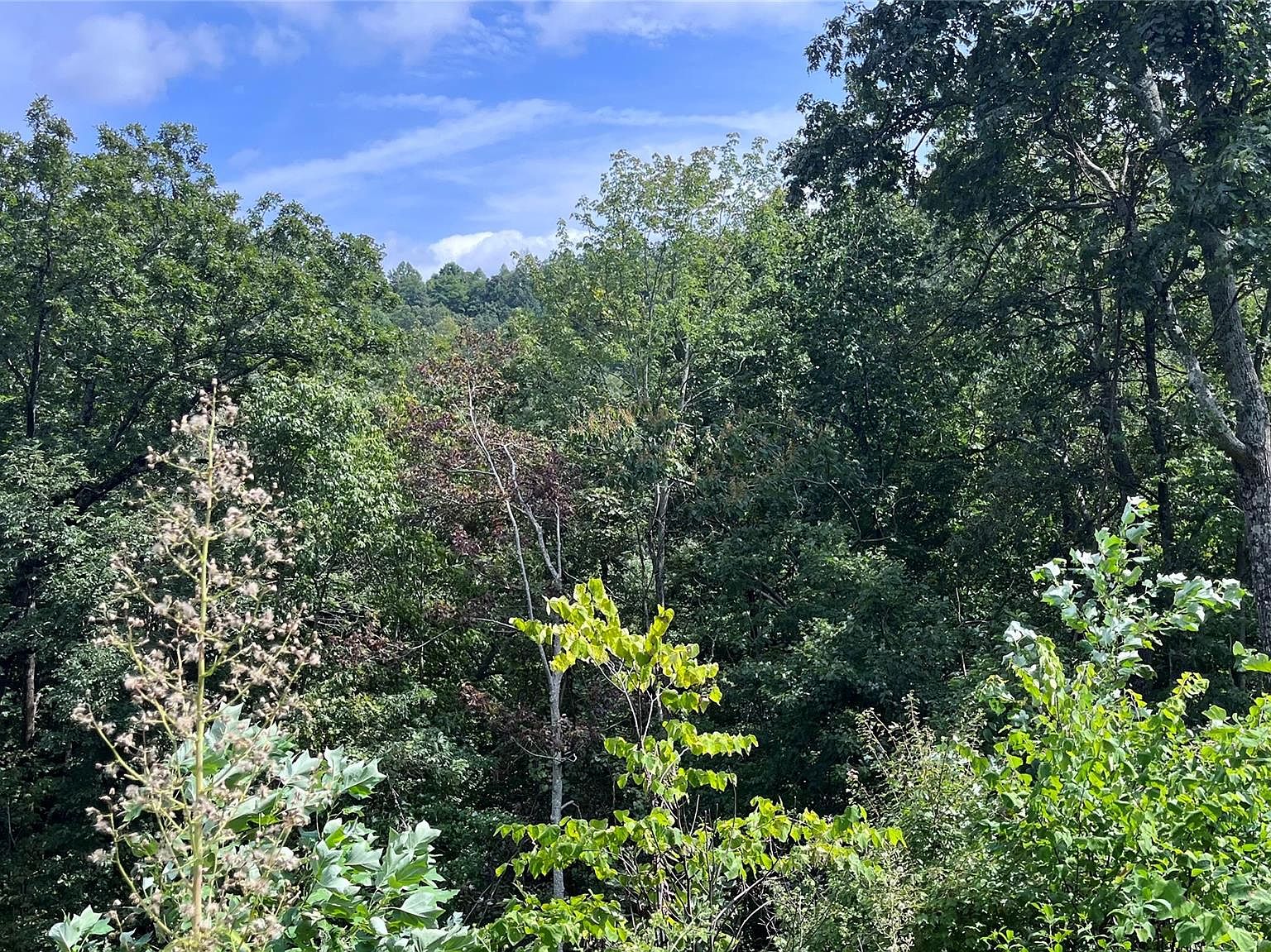 0 Queens Gap 170, Union Mills, NC 28167 MLS 4070323 Zillow