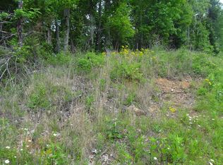 0 Burkhalter Gap Rd, Trenton, GA 30752