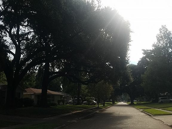 4th image of 172 Bruce Ave