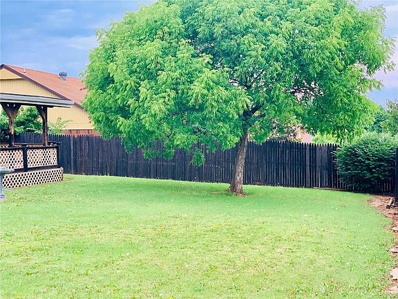 Back yard