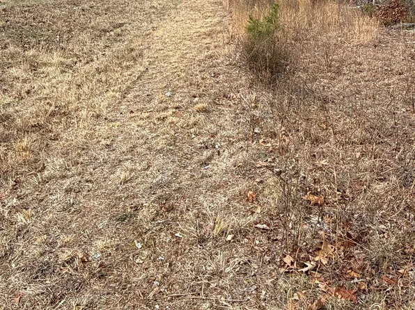 150 Blue Mountain Ln, Timbo, AR 72680