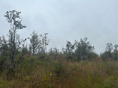 Omeka Rd, Volcano, HI, 96785