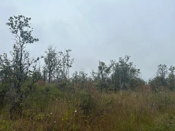 Omeka Rd Lot 20, Volcano, HI 96785