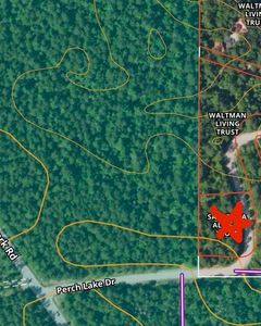 Perch Lake Dr, Newberry, MI, 49868