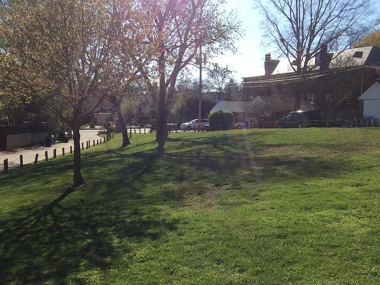Backyard Park, View 1