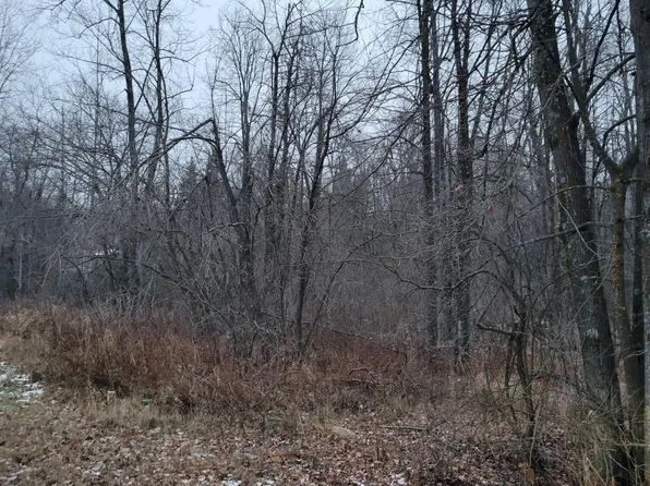 Xx Baker Ave, Ladysmith, WI 54848