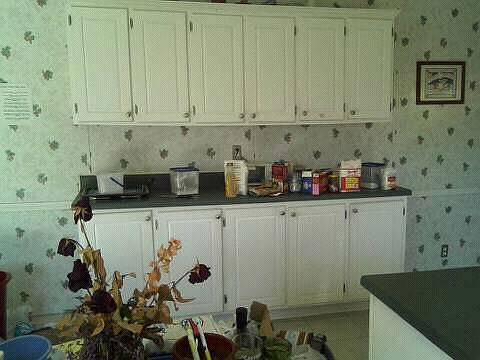 kitchen has over 30 cabinets
