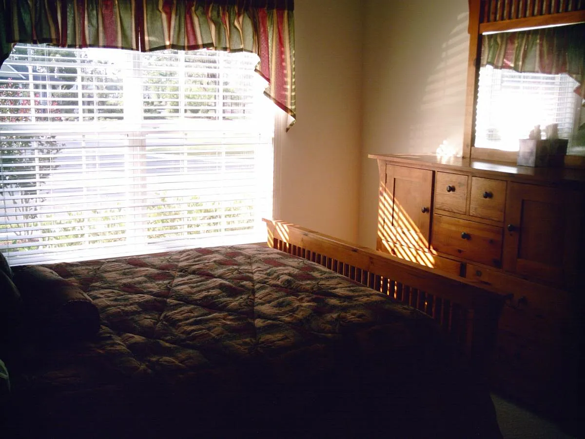 27 Pinecrest Way — Photo 4