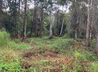 1881 HAZELNUT STREET LOT 16, BUNNELL, FL 32110