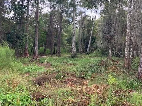 1881 HAZELNUT STREET LOT 16, BUNNELL, FL 32110