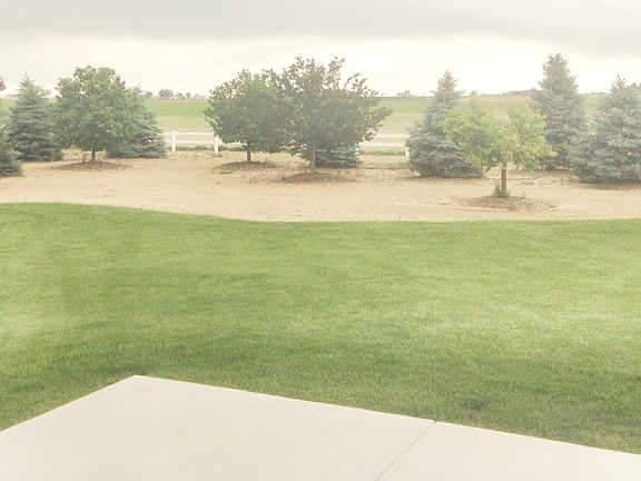 Views Views Views