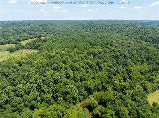 0 Carney Ln, Leon, WV 25123