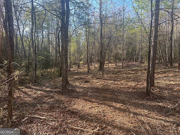 4th image of 0 Lee Mashburn Rd
