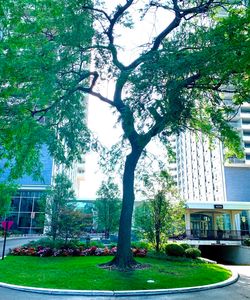4250 N Marine Dr APT 1402, Chicago, IL, 60613