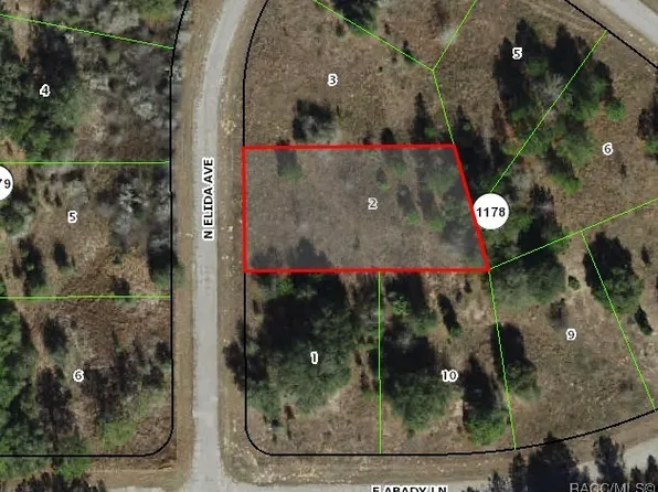 8823 N Elida Ave, Citrus Springs, FL 34434