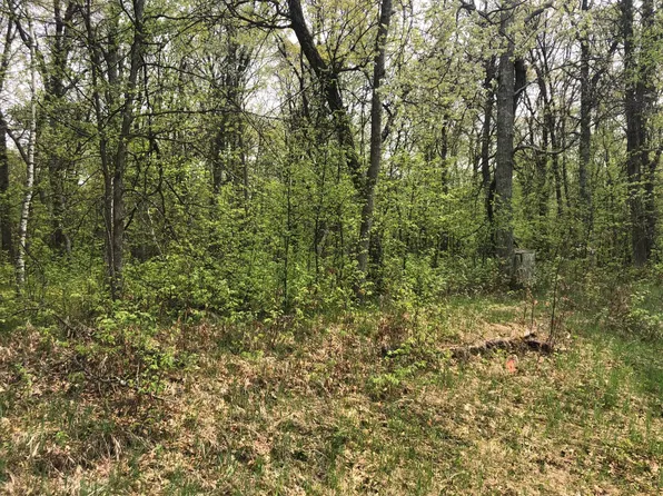 Tbt Pawnee Cir, Pequot Lakes, MN 56472