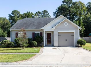 1125 Jordan Lake Ct, Leland, NC 28451