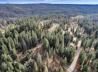 9893 Grizzly Flat Rd, Grizzly Flats, CA 95636