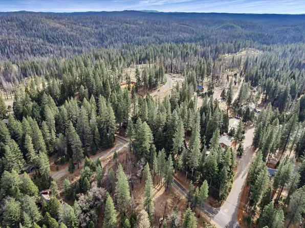 9893 Grizzly Flat Rd, Grizzly Flats, CA 95636
