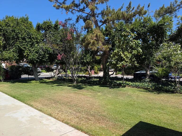 2336 W Orange Dr N — Photo 76