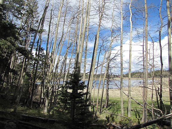 3rd image of Hidden Lake Subdivision #Lot 62