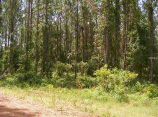 160 Big Lake Dr, Deltona, FL 32738