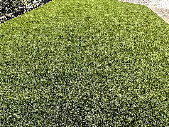Newly installed artific turf