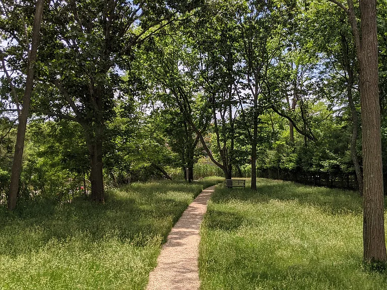 5 Morris Cove Ln — Photo 16