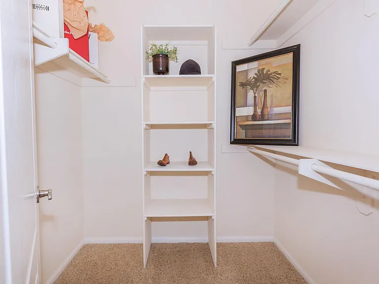 HUGE WALK-IN CLOSET WITH ORGANIZER