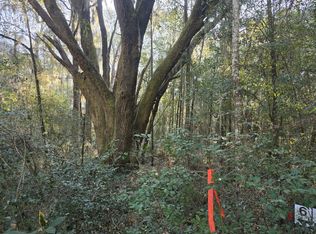 7829 Louis Berry Ln LOT 6, Edisto Island, SC 29438