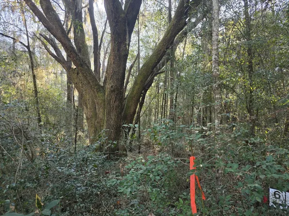 7829 Louis Berry Ln Lot 6, Edisto Island, SC 29438