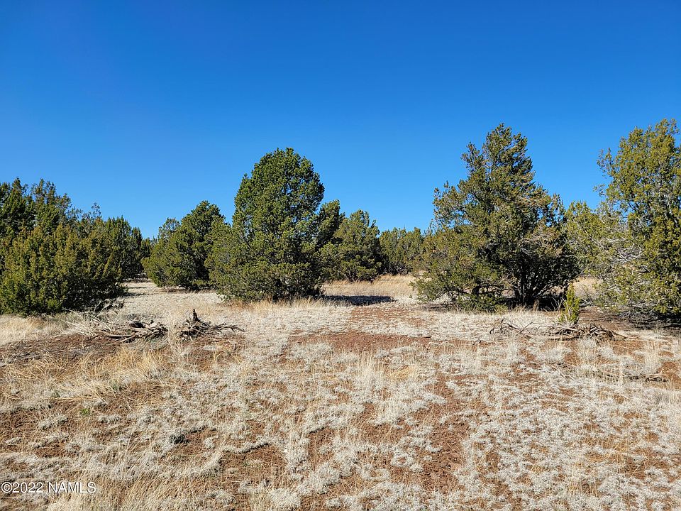 2nd image of 1171 E Alimos Way