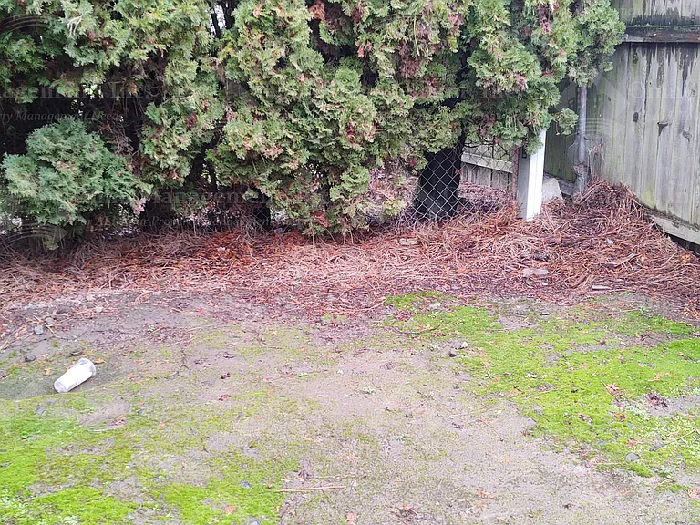 3228 22nd Pl #A — Photo 17