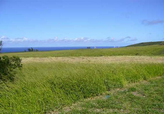 5th image of Lincoln Avenue Makai Lot 8