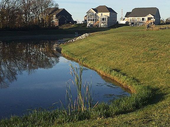 5th image of 16387 Man O War Ln