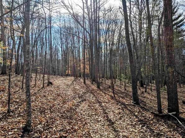 Tbd Irish Mountain Rd, Hiwassee, VA 24347