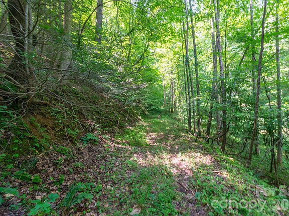 5th image of Board Tree Rd #3