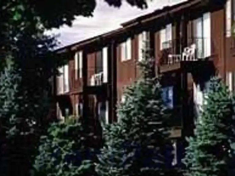 Pine Aire Apartments — Photo 18