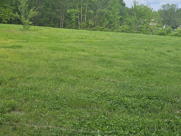 310 Gulf Street, Walnut Grove, MO 65770
